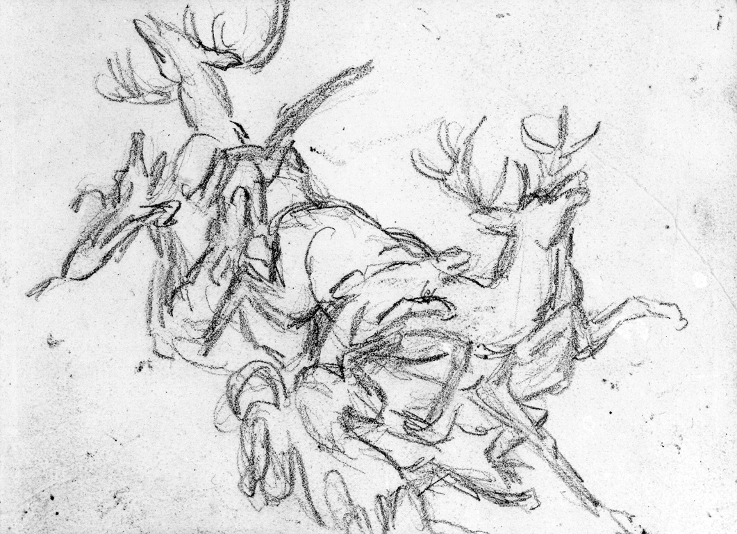 Image for Stag Hunt