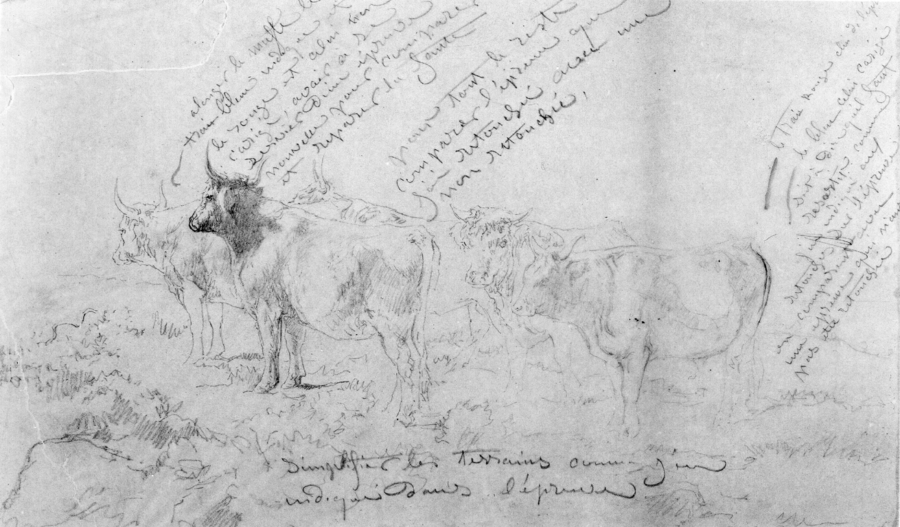 Image for Sketch of Five Bulls with Color Notes