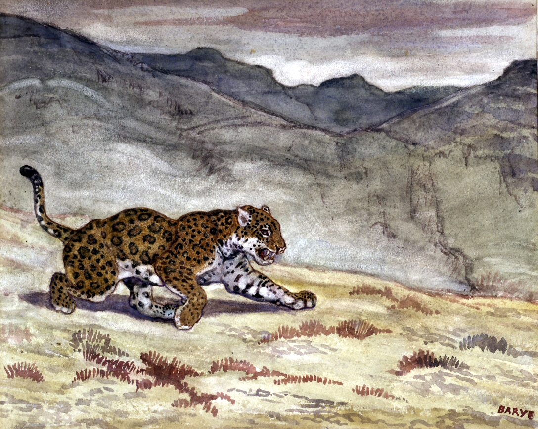 Image for Running Jaguar