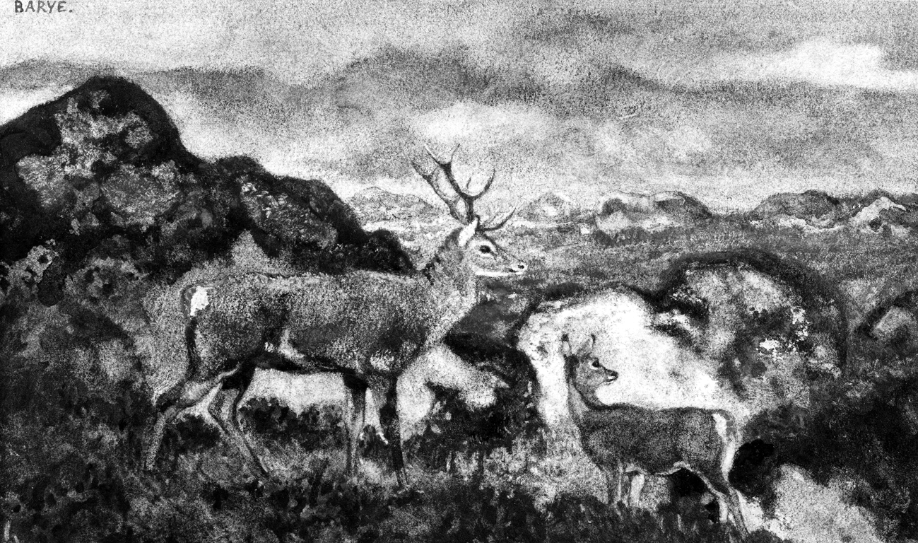 Image for Stag and Doe