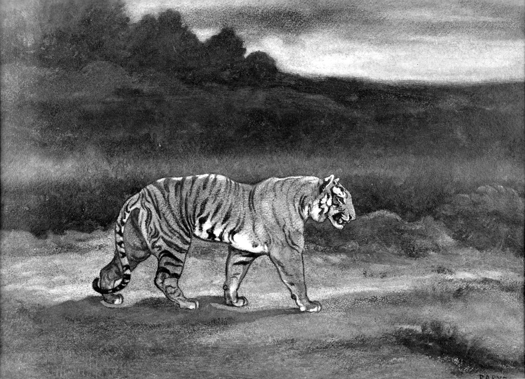 Image for Tiger Walking
