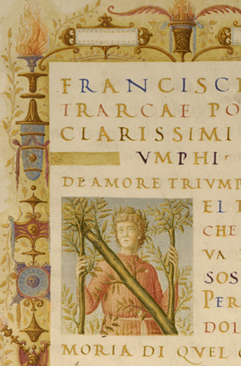 Image for Portrait of Petrarch in the Incipit Letter “N”