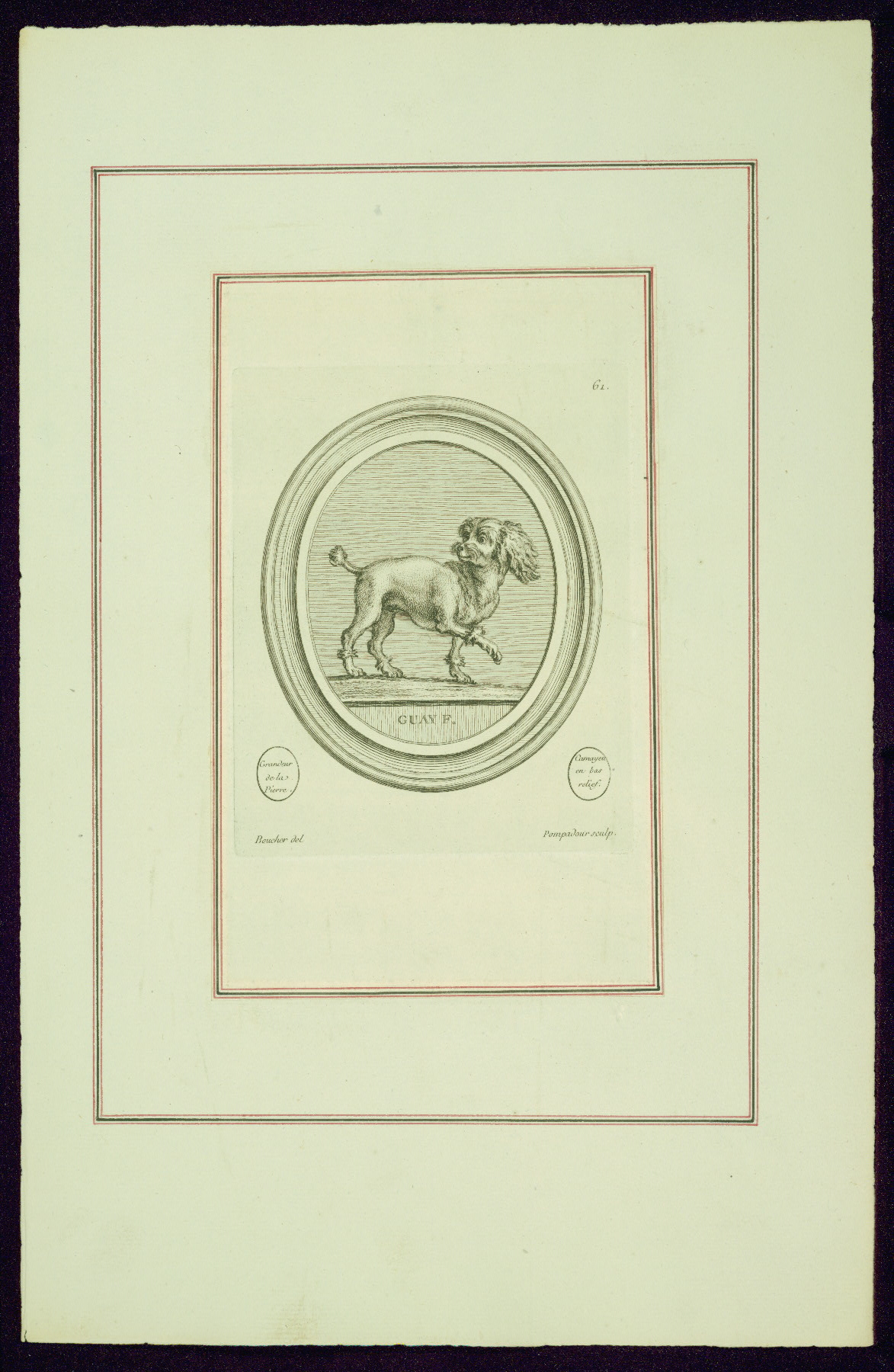 Image for Portrait of Madame de Pompadour’s Dog (Bébé?), from Madame de Pompadour's "Suite of Prints"