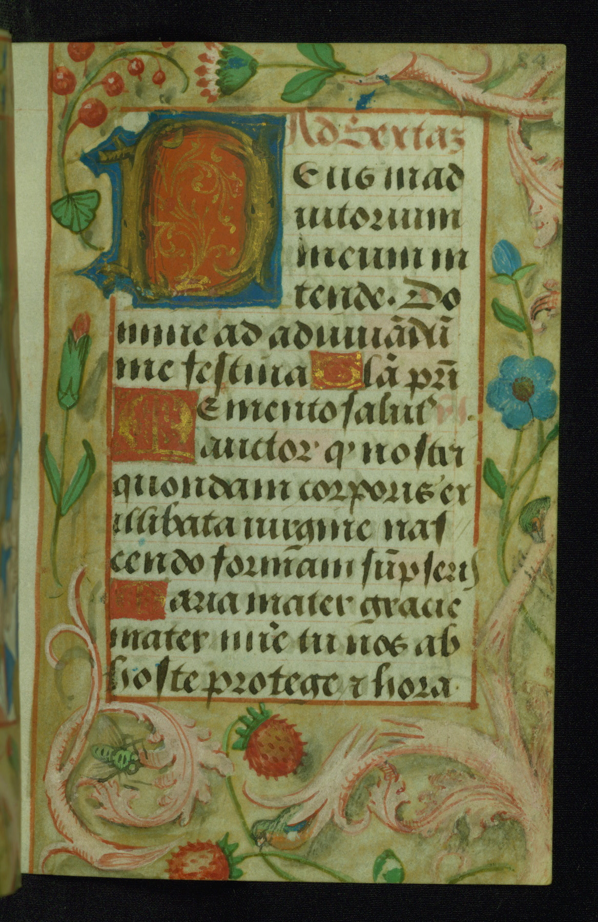 Image for Book of Hours