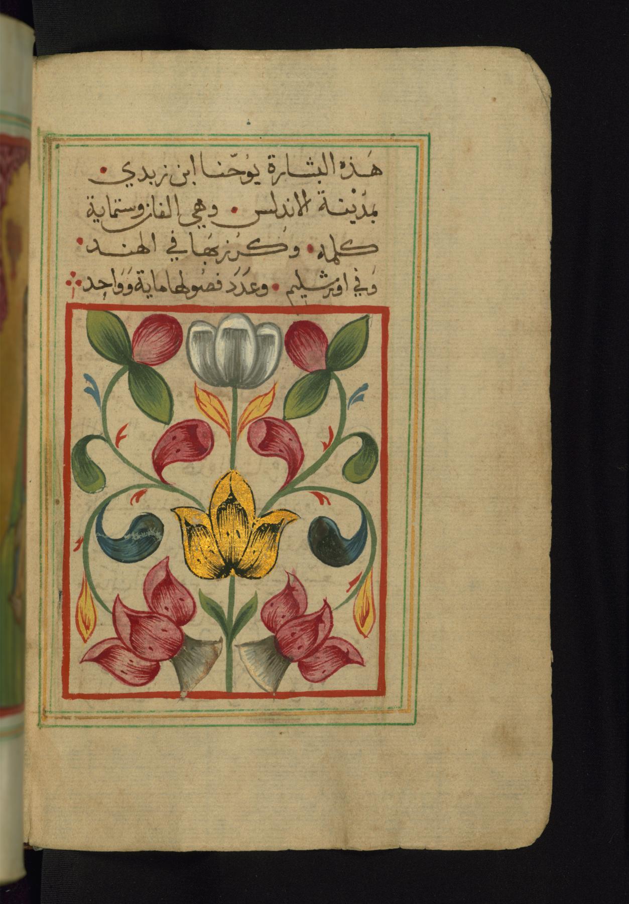 Image for Painted Floral Composition Ending the Preface to the Gospel of Matthew