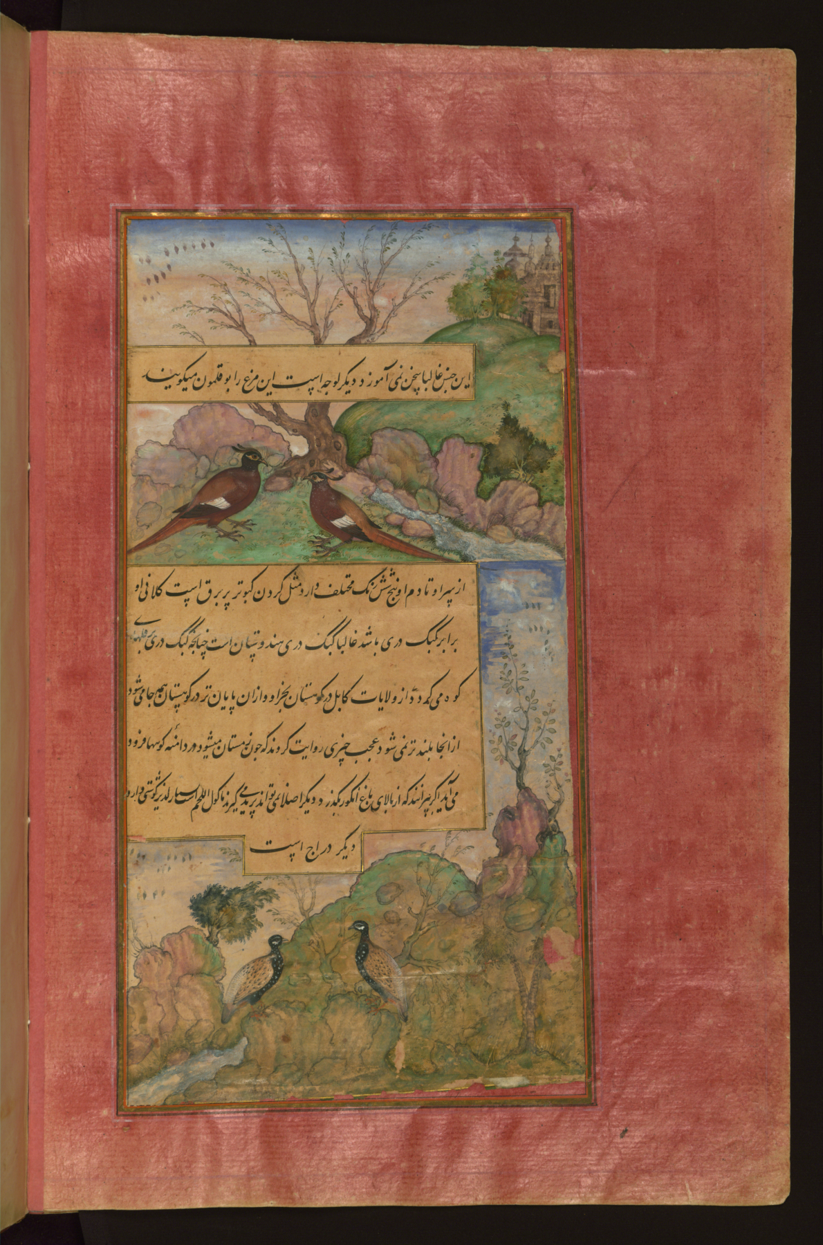 Image for Birds of Hindustan: Luchas, Called Buqalamun, and Partridges
