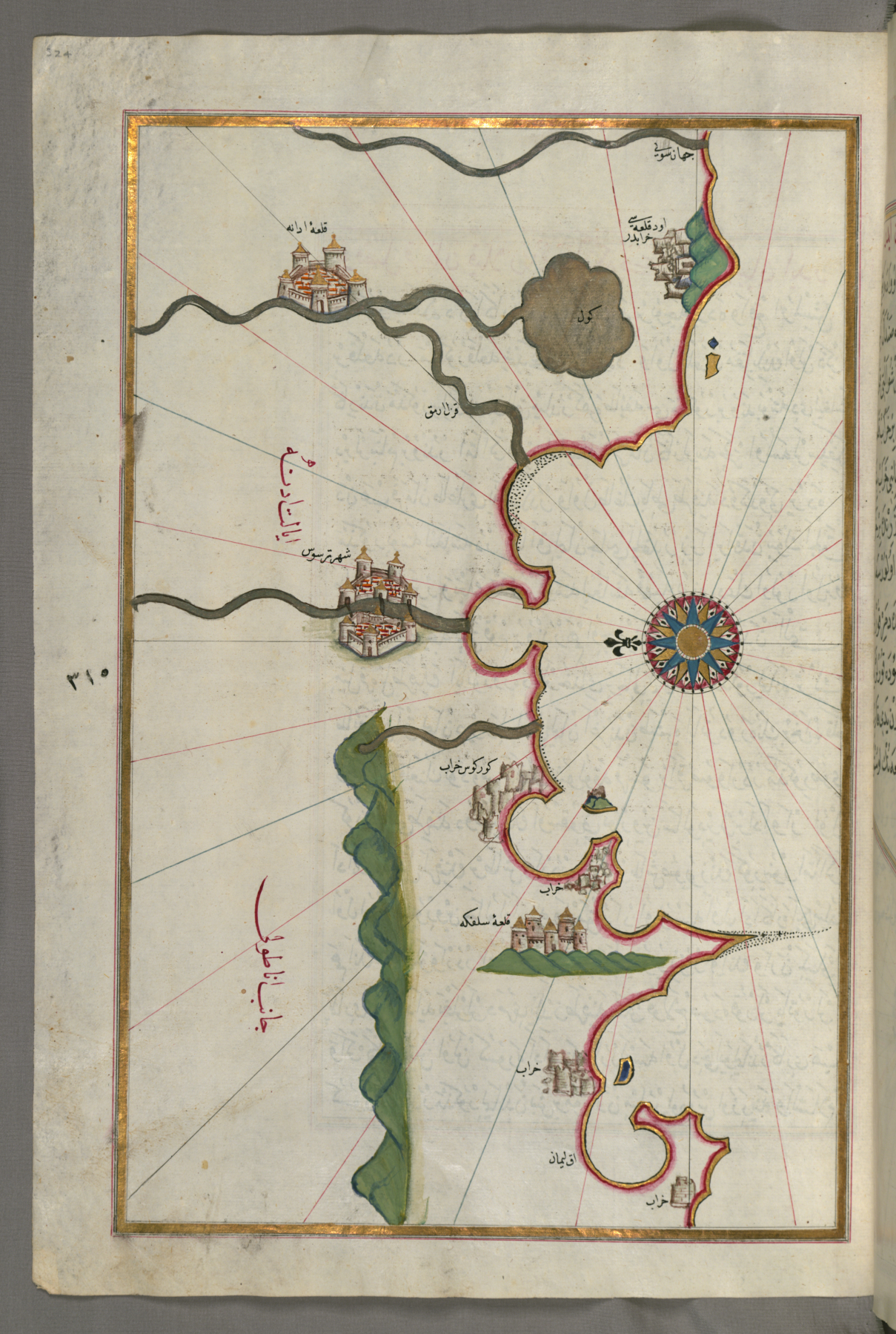 Image for Map of the Anatolian Coast and the Cities Adana and Tarsus