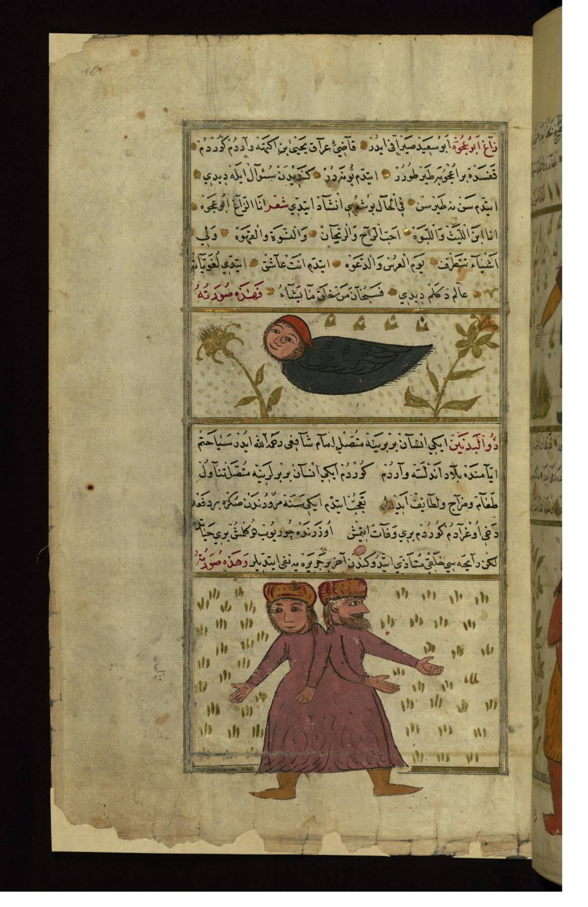 Image for The Creatures Zagh abu 'ujwah (Half-crow, Half-man) and Dhu al-badanayn (Having Two Bodies)