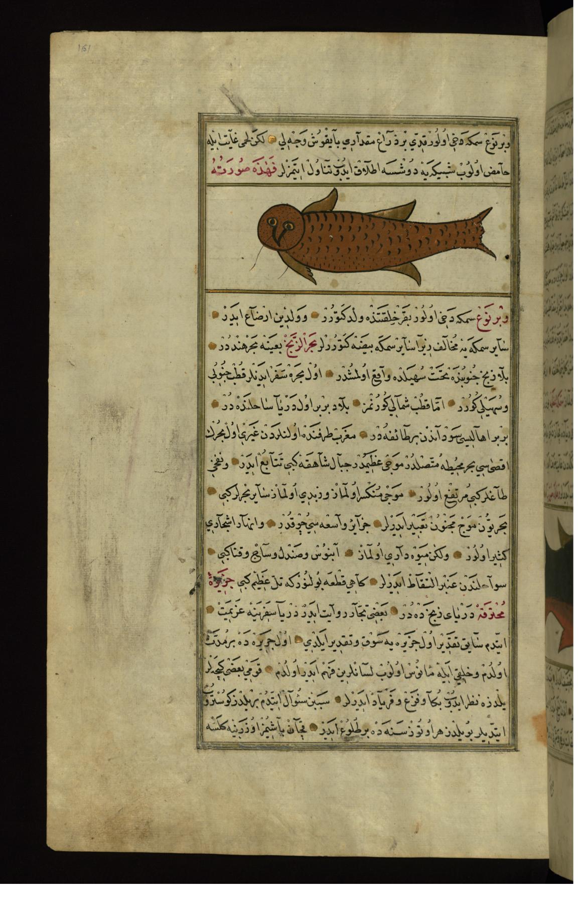 Image for A Fish with the Head of an Owl