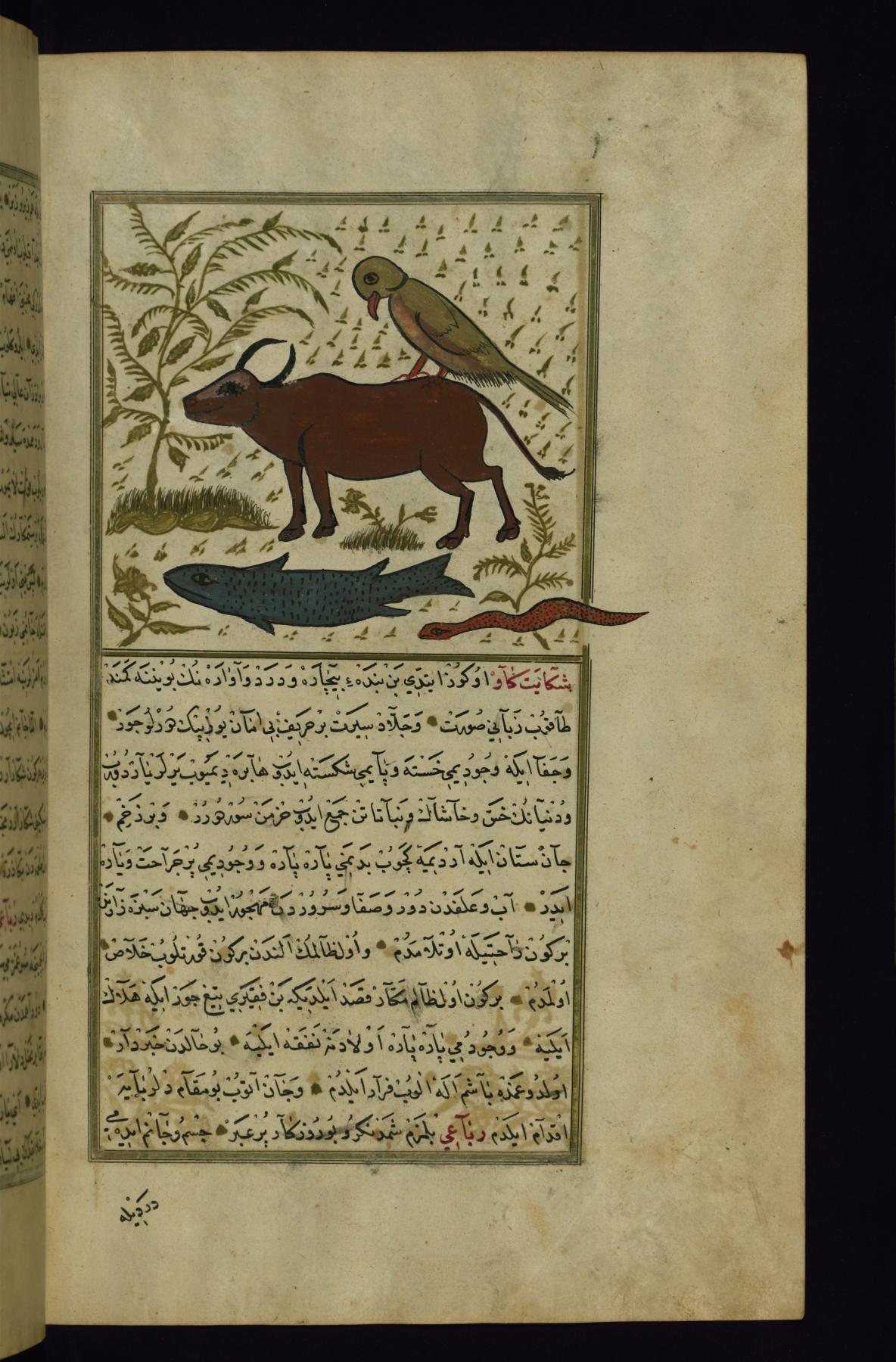 Image for A Parrot (Sitting on a Bull), a Fish, and a Snake