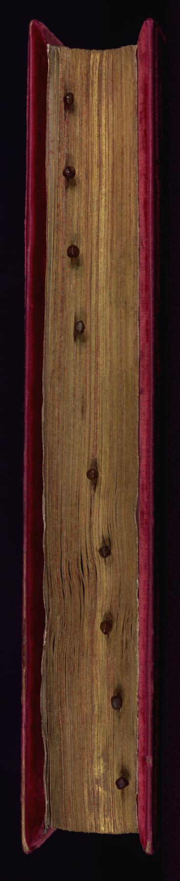 Image for Binding from Speculum Virginum