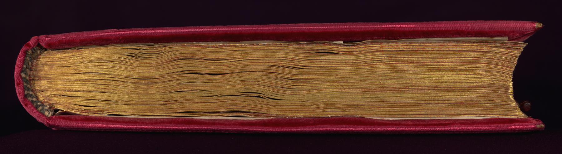Image for Binding from Speculum Virginum