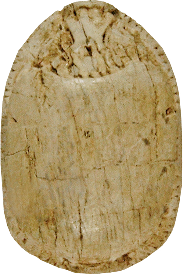 Image for Scarab with Three Columns of Pseudo-hieroglyphs