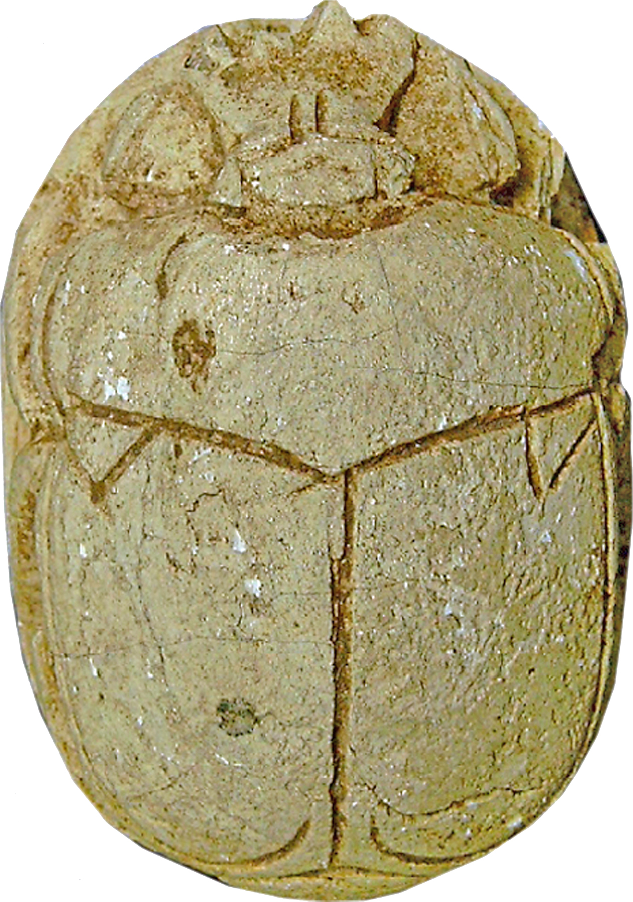 Image for Scarab