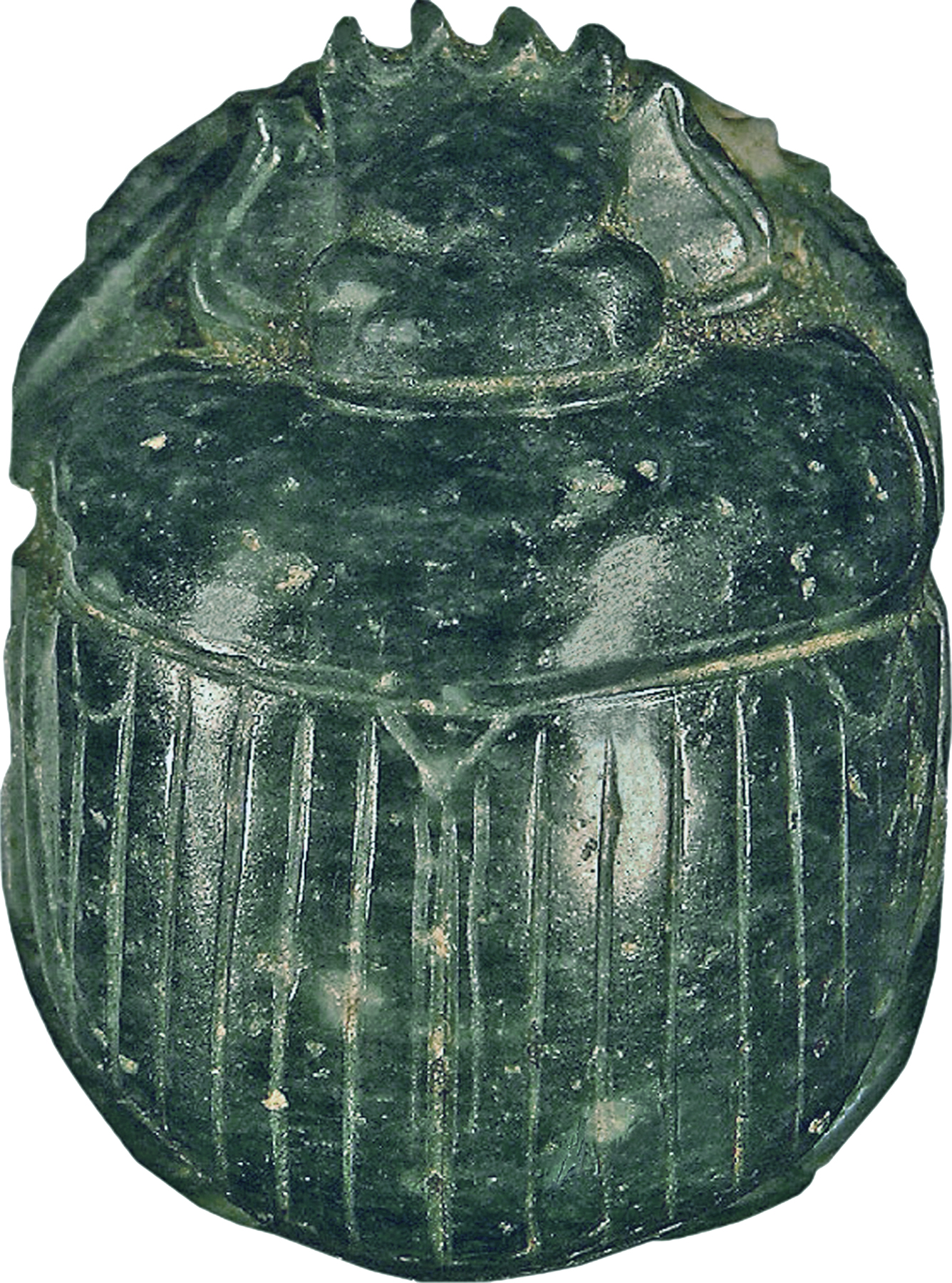 Image for Scarab