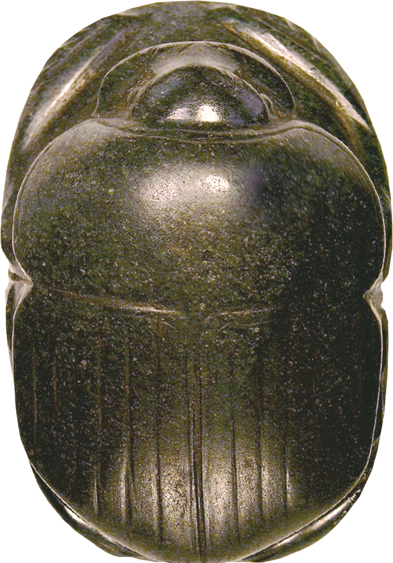 Image for Heart Scarab