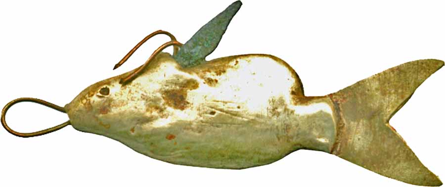Image for Nile Catfish