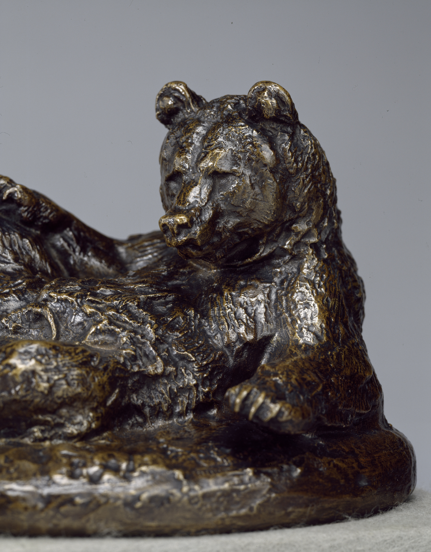 Image for Seated Bear