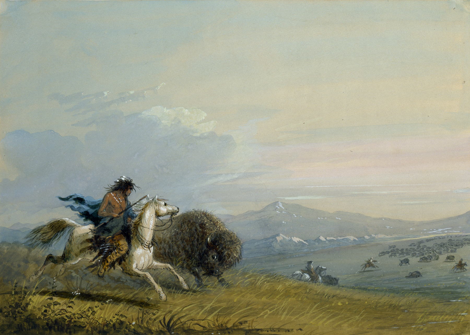 Image for Pawnee Running Buffalo