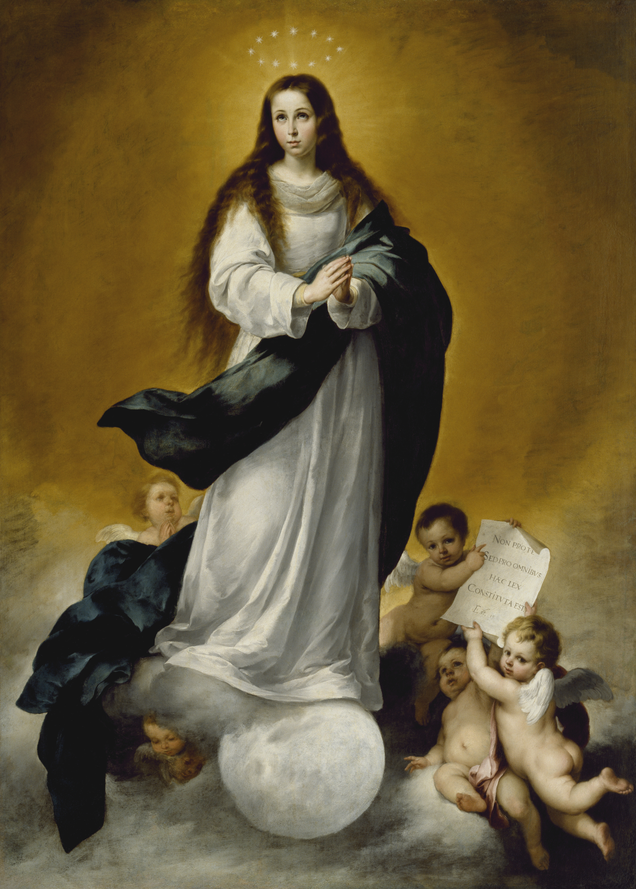 Image for The Virgin of the Immaculate Conception