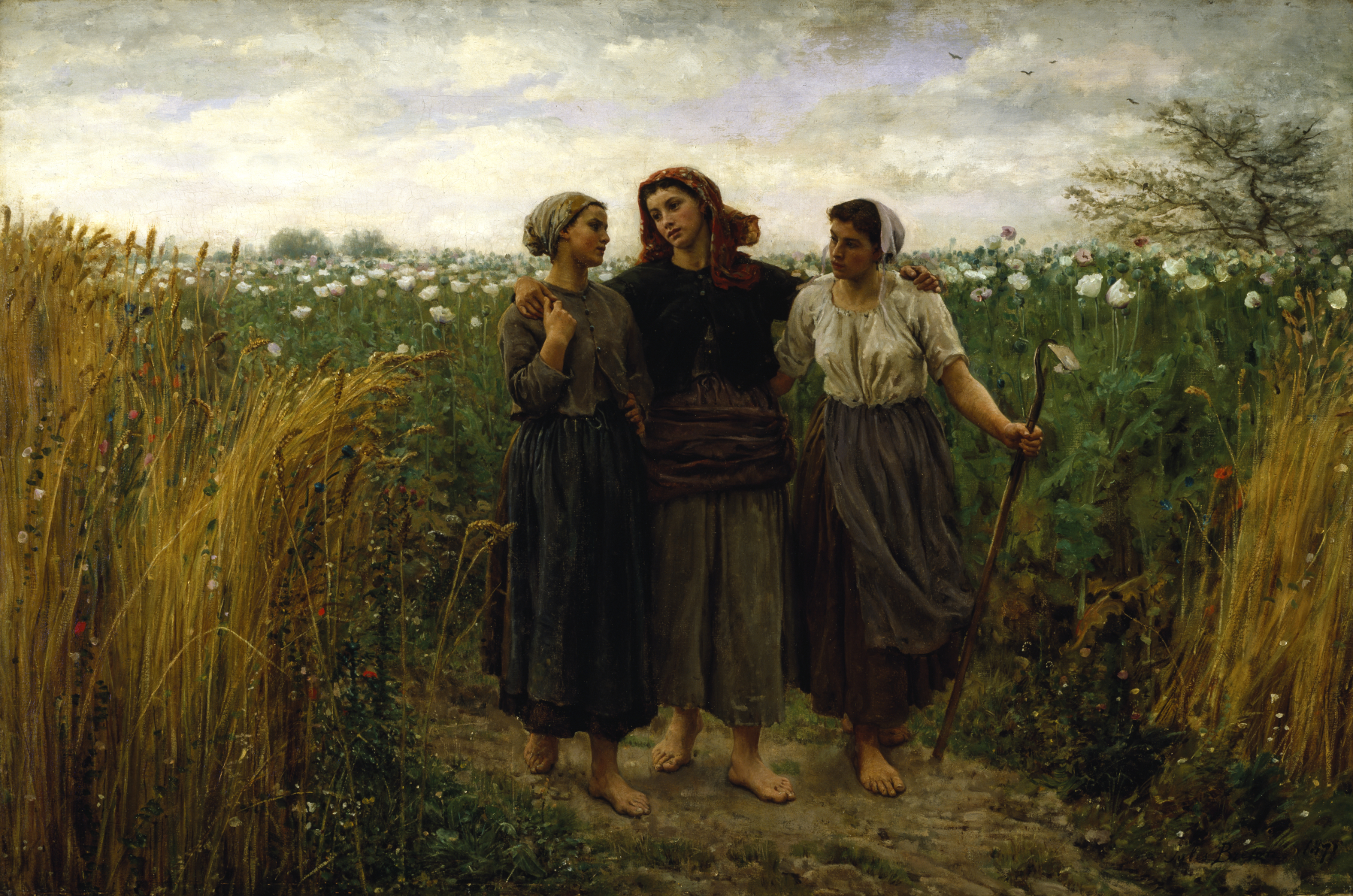 Image for Returning from the Fields