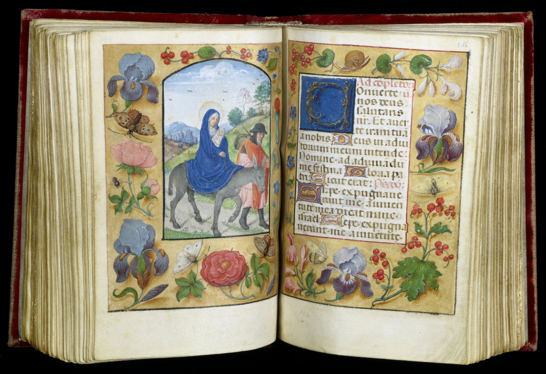 Image for Leaf from a Book of Hours