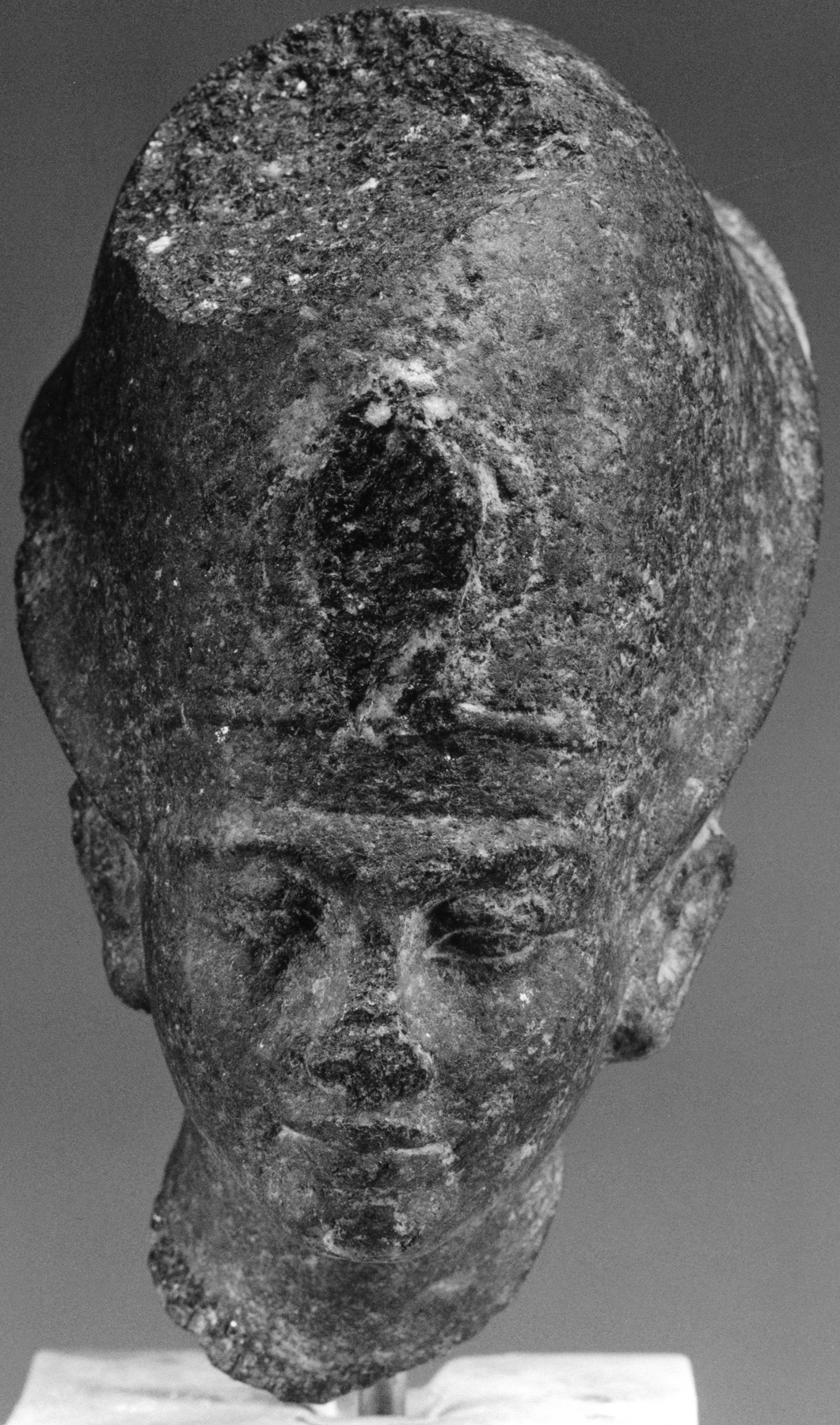 Image for Head of a Statue of Tutankhamen (?) with the "Blue Crown"