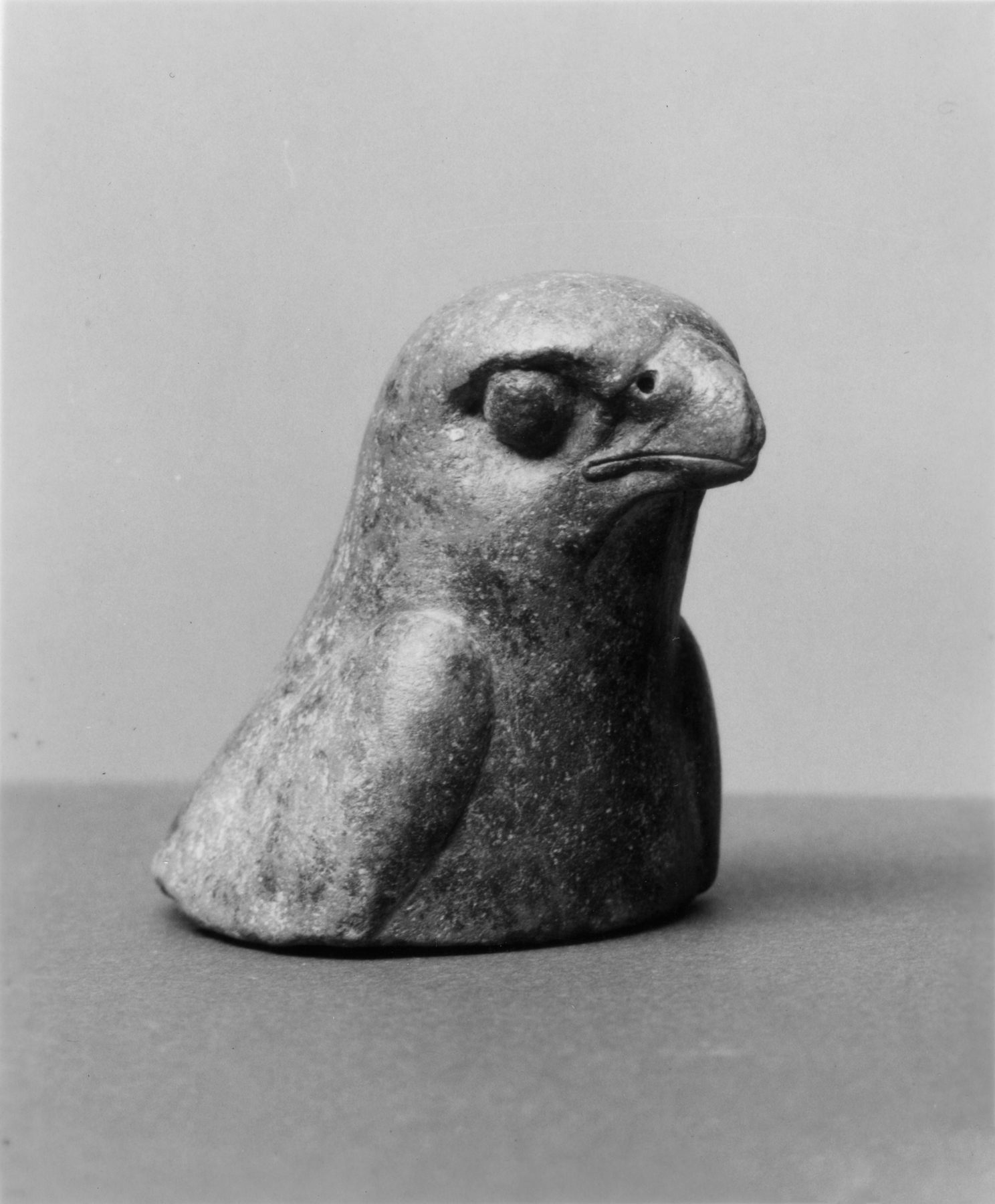 Image for Head of a Hawk