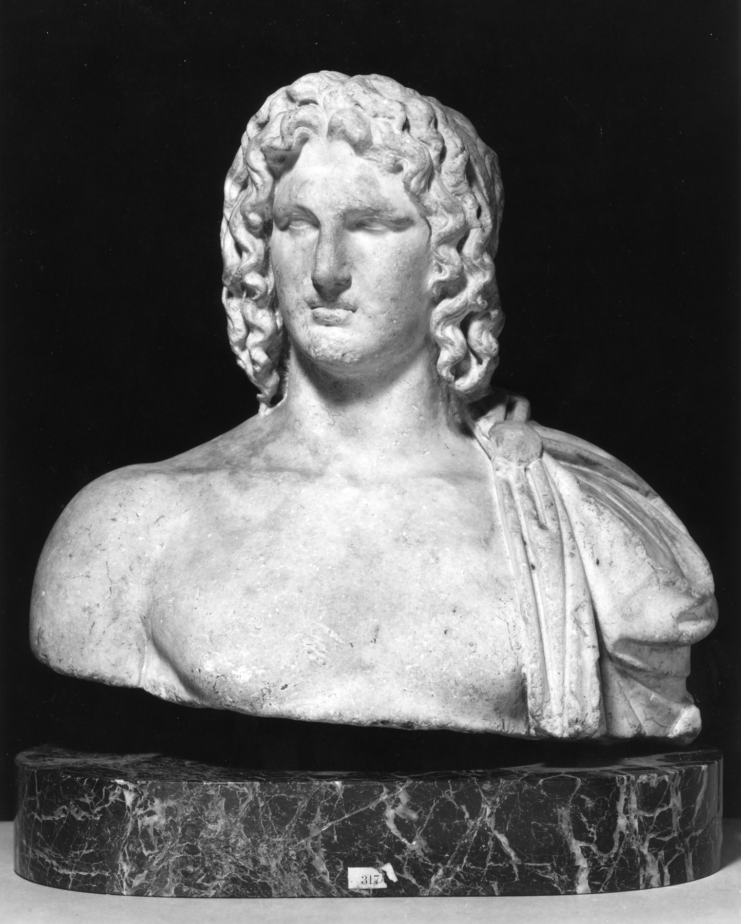 Image for Bust of Alexander the Great