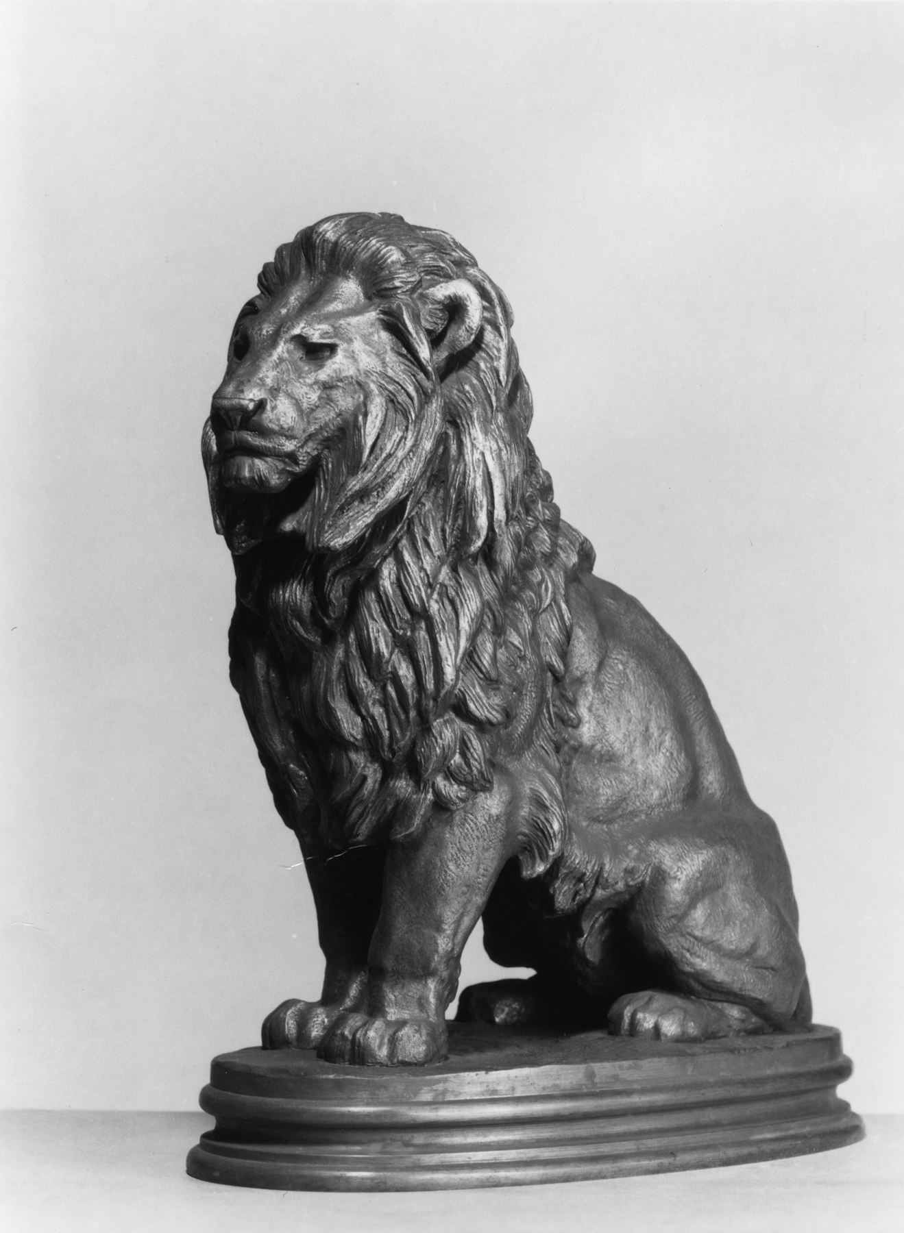 Image for Seated Lion