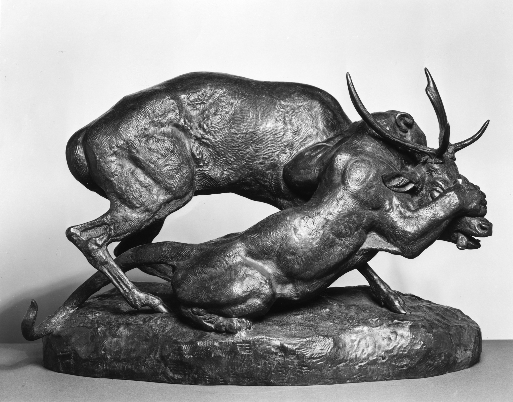 Image for Panther Seizing a Stag