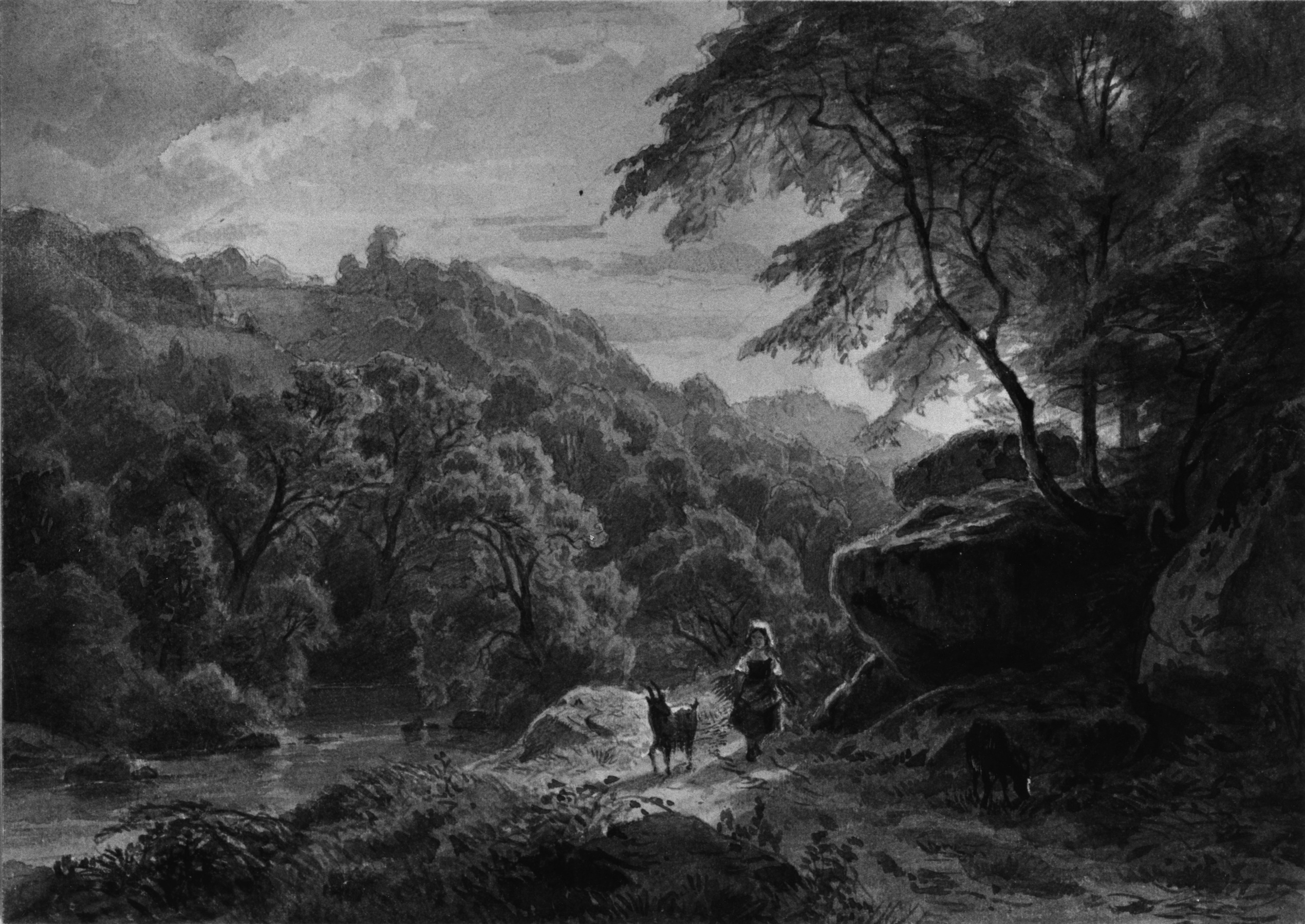 Image for Woodland and River Scene