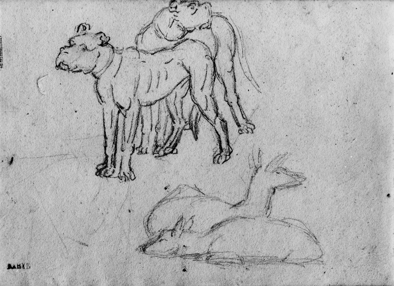Image for Sketch of dogs, poss. after desportes(a)