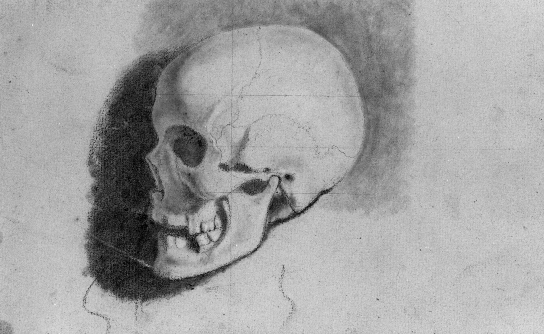 Image for Academic Study of a Skull