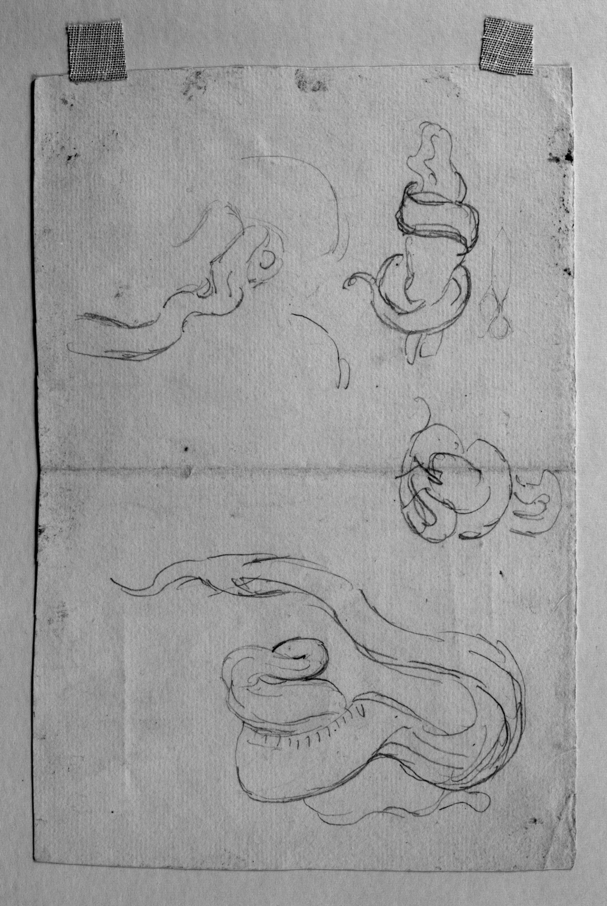 Image for Sketches of Snakes