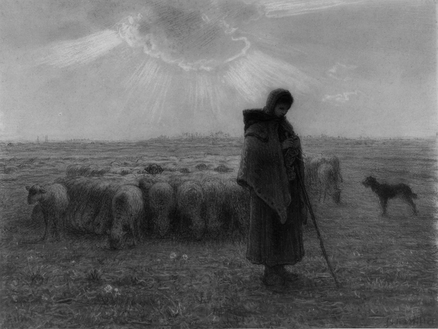 Image for The Shepherdess and Her Flock