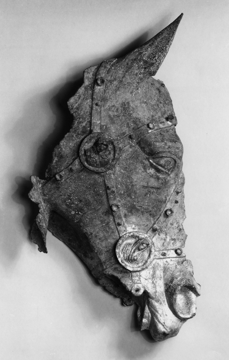 Image for Head of a Horse