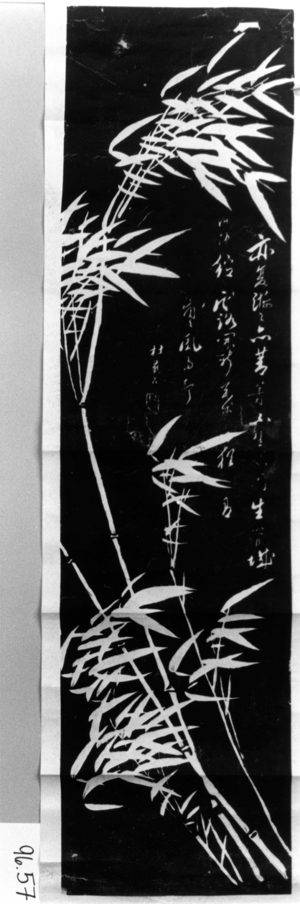 Image for Bamboo