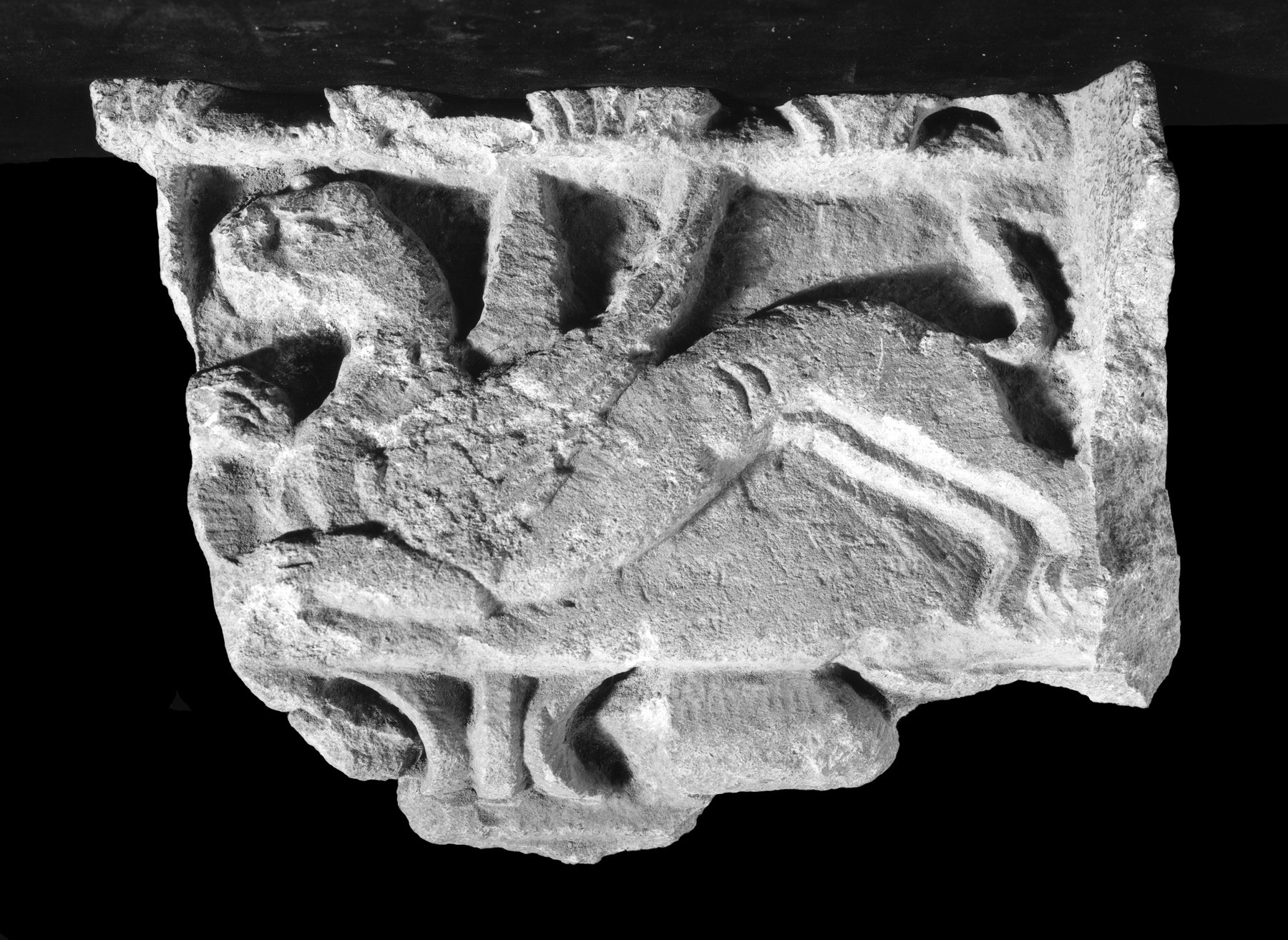 Image for Relief Fragment with Griffin
