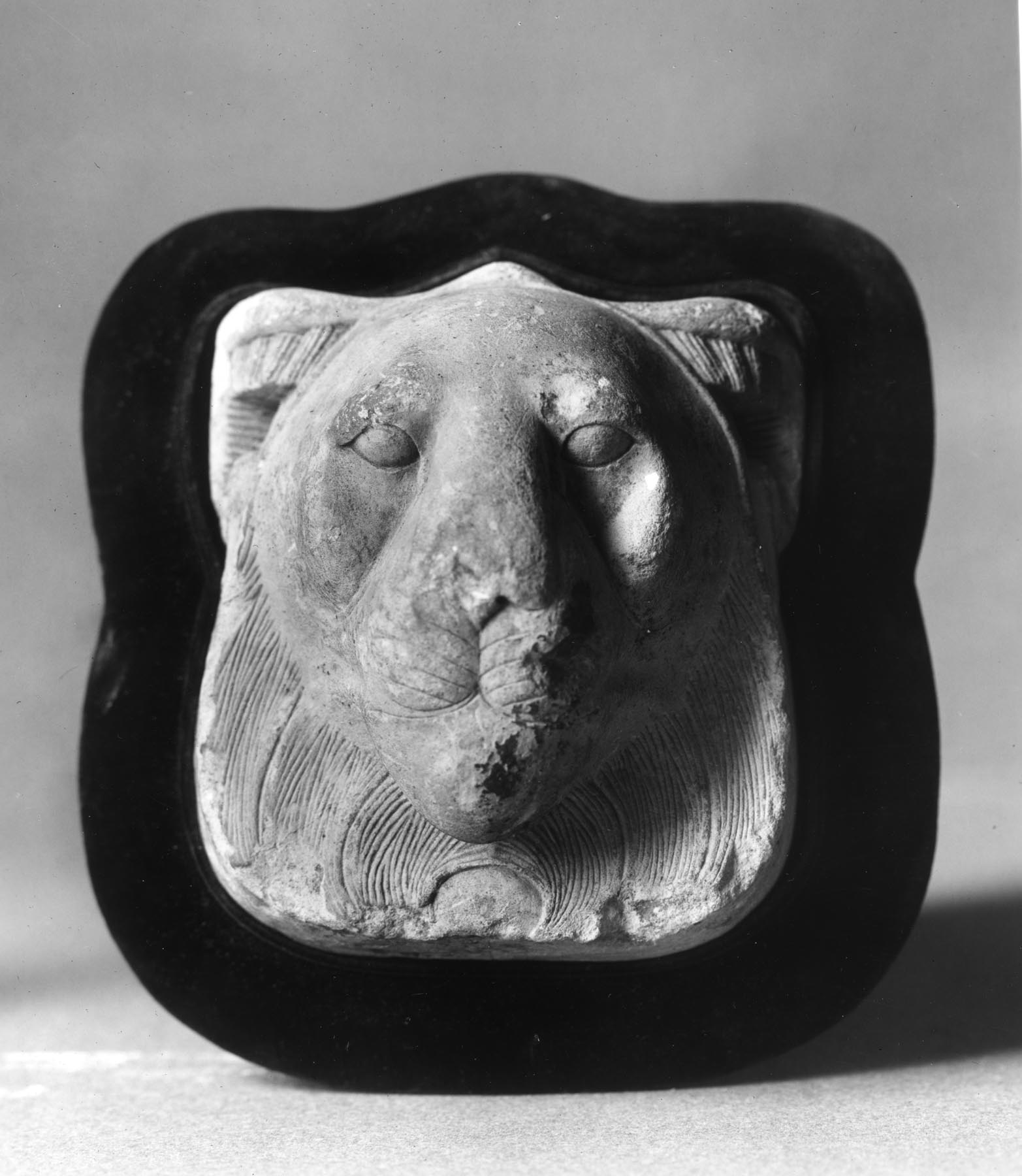 Image for Head of a Lion
