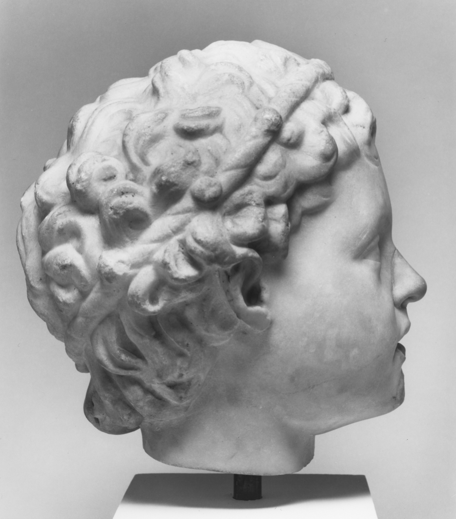 Image for Head of a Satyr