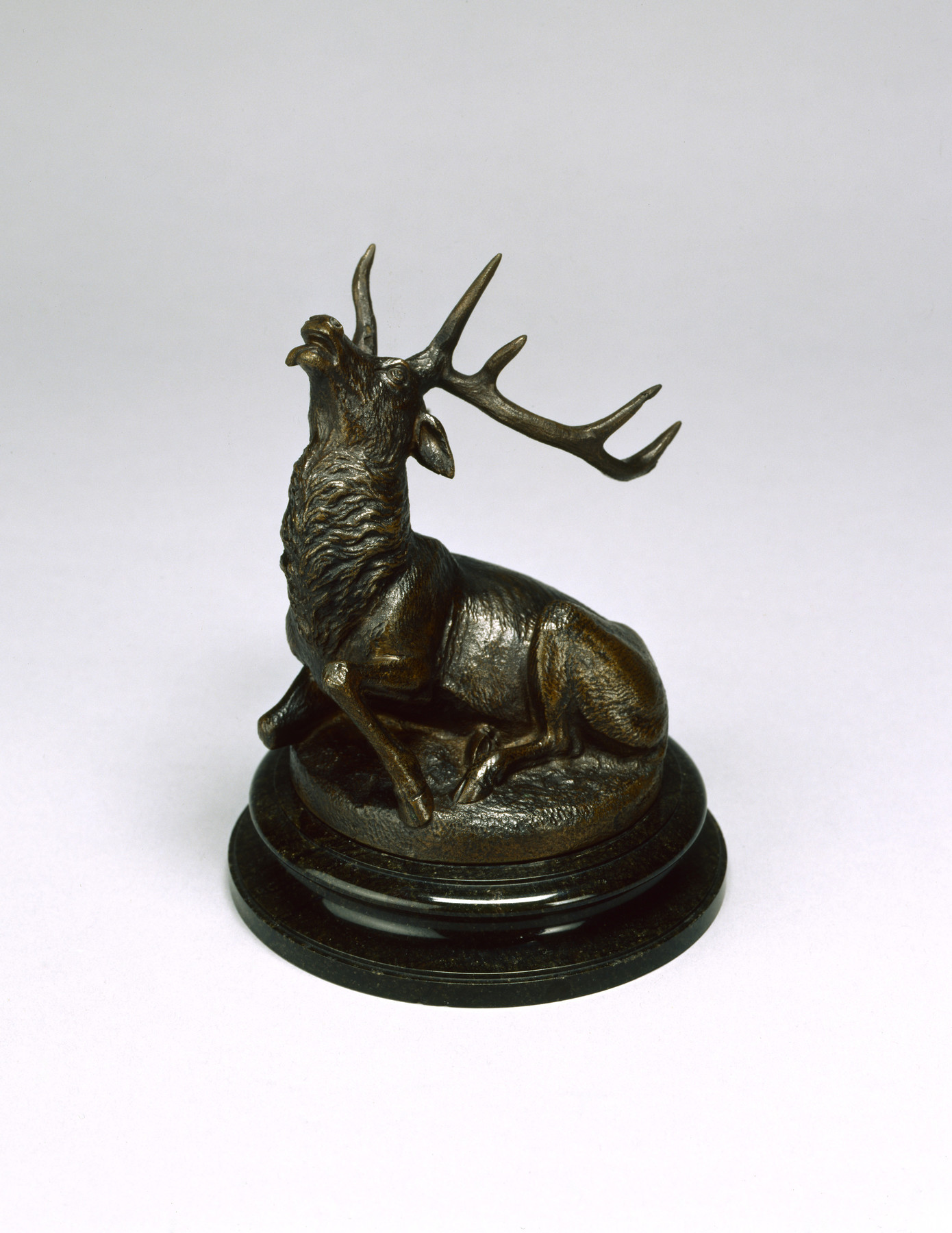 Image for Seated Elk; Fallen Stag