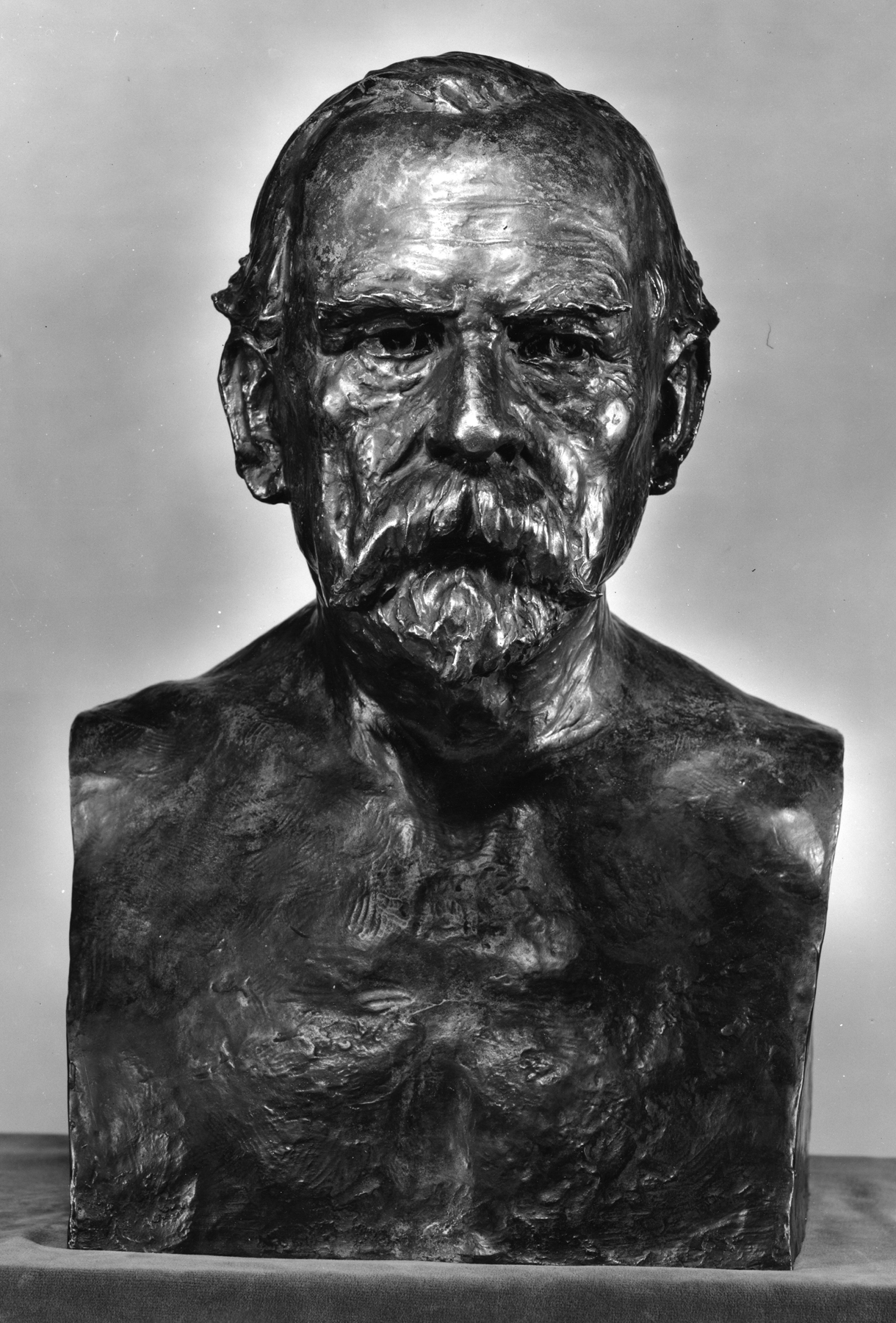 Image for Bust of Henry Walters