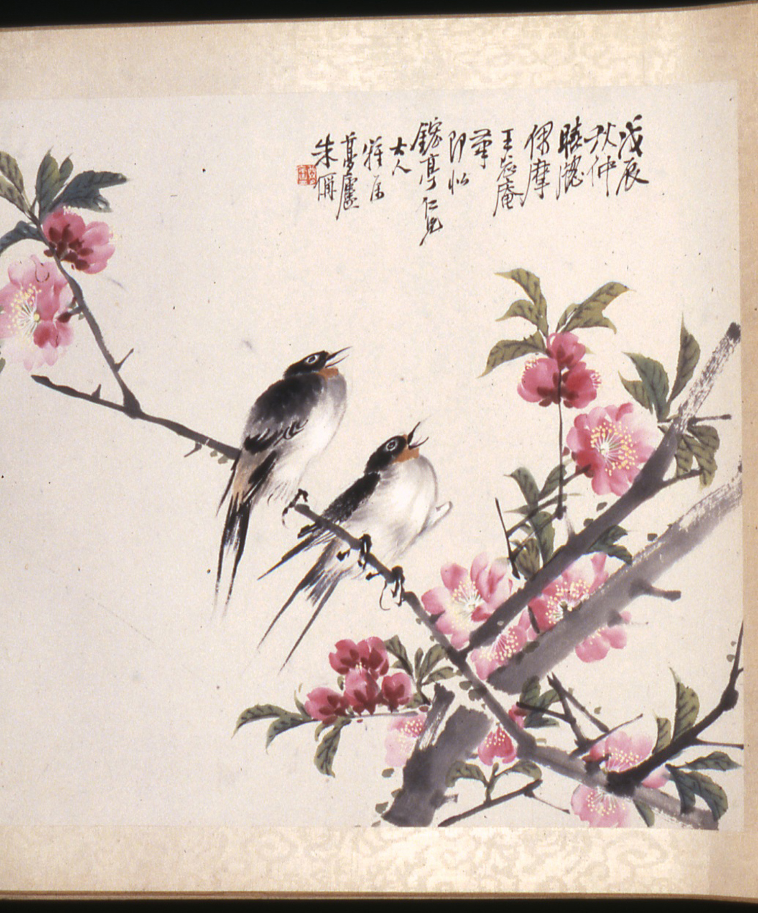 Image for Two Birds