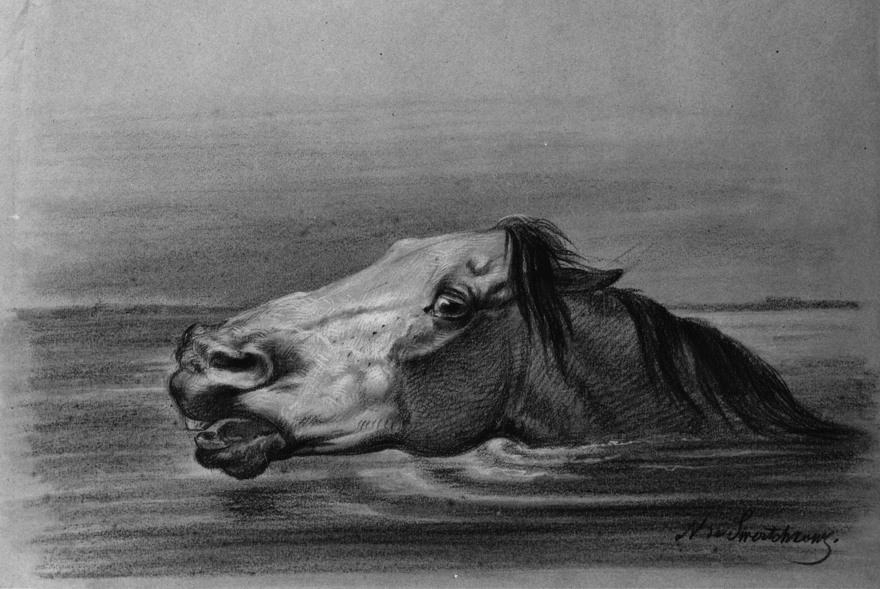 Horse Drawing With Charcoal On It Background Pictures Of Drawn Horses  Background Image And Wallpaper for Free Download