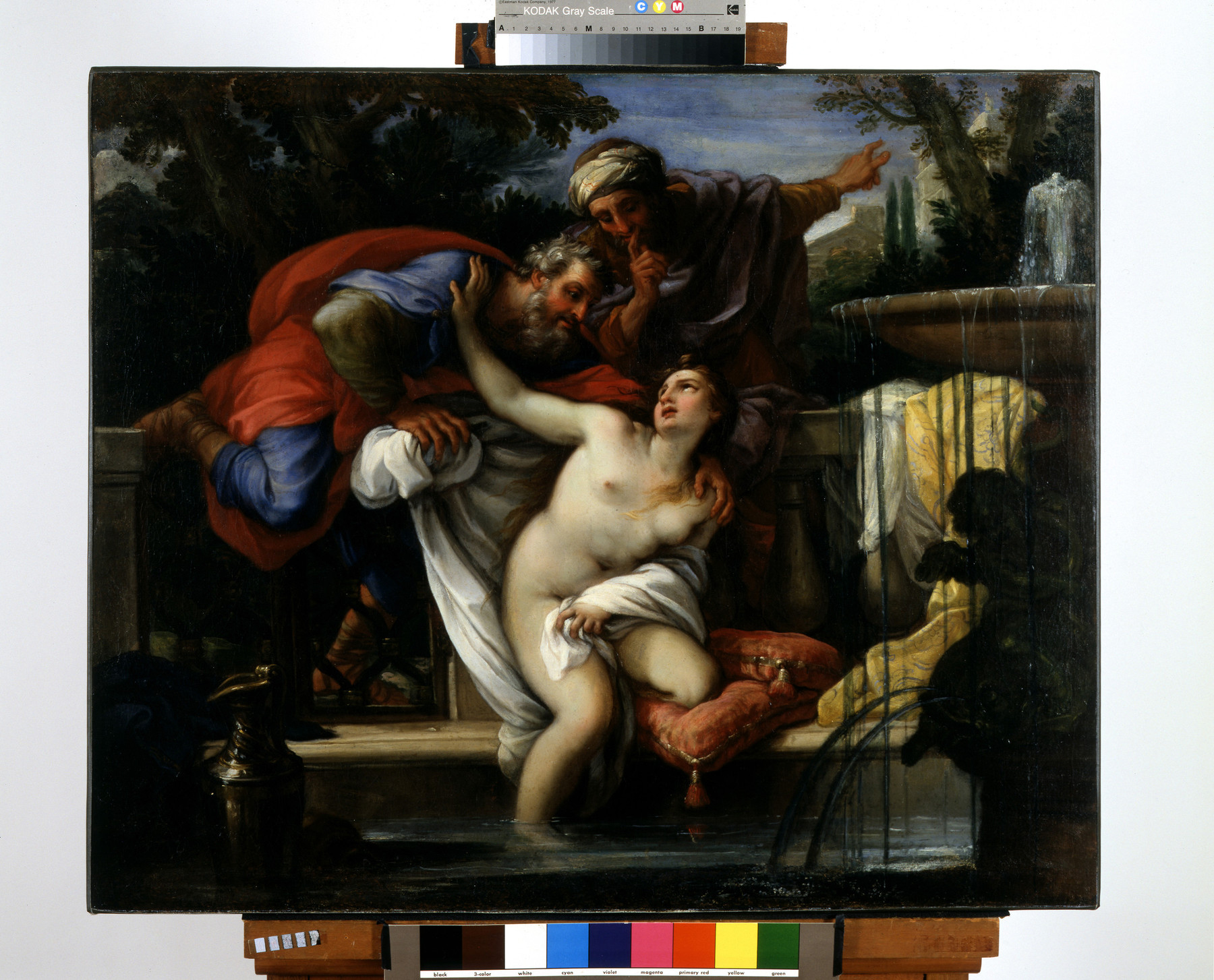 Image for Susannah and the Elders