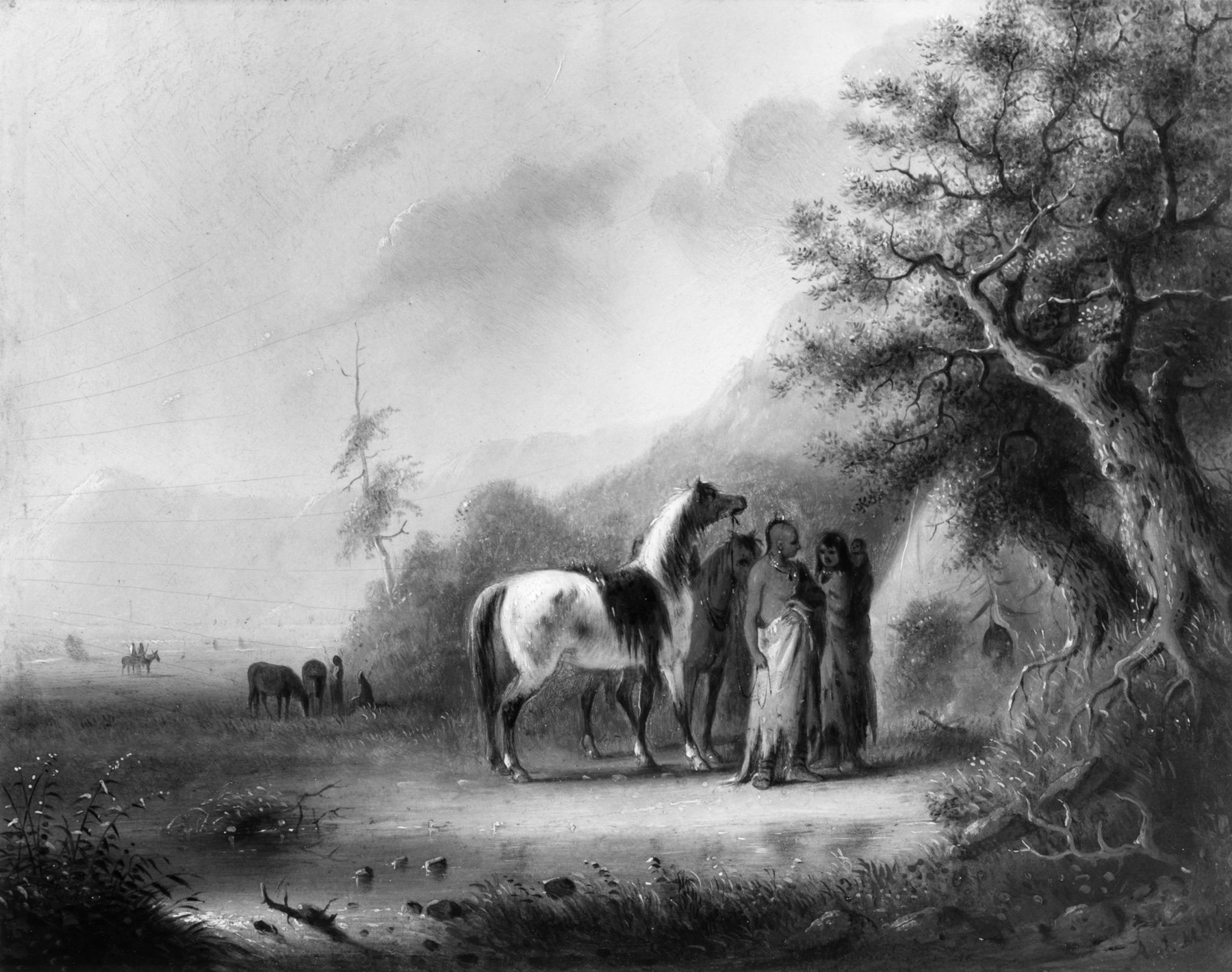 Image for Sioux Indians in the Mountains