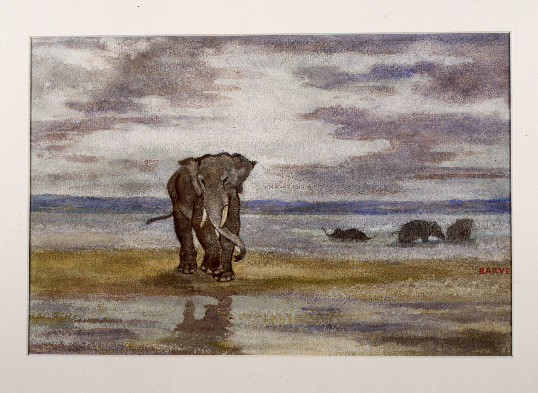 Image for Elephants in Water