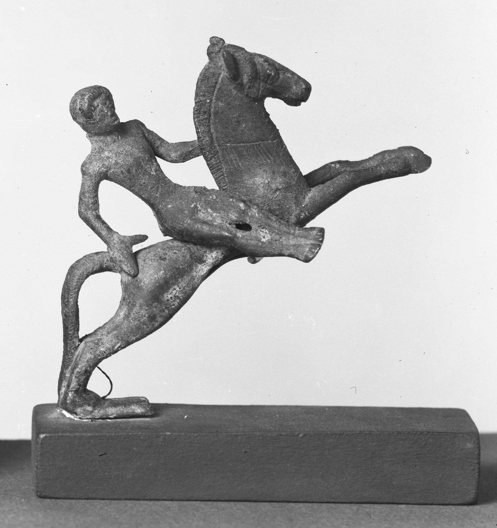 Image for Horse and Rider