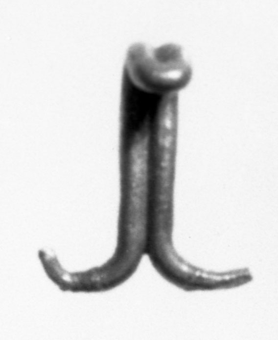 Image for Wire Hook